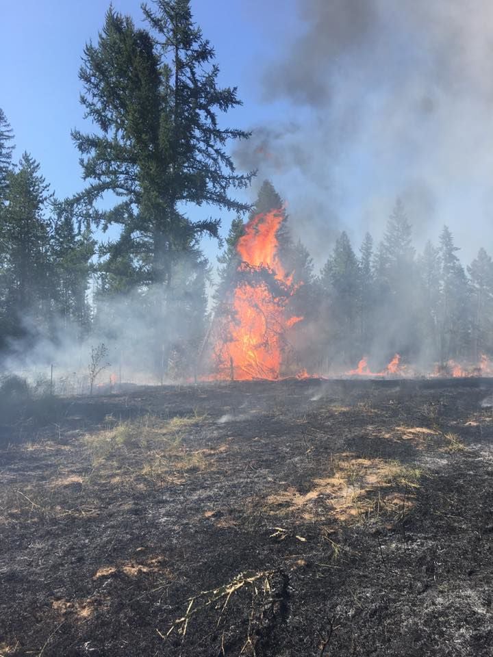 Crews contain 140-acre Bandy Fire burning near Priest River