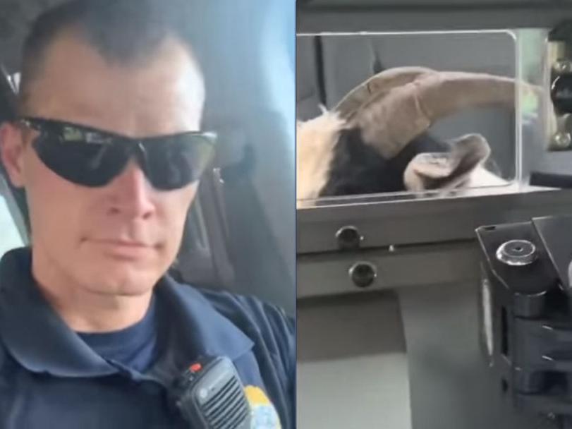 Police Officer Collaborates With Captured Goat For Old Town Road