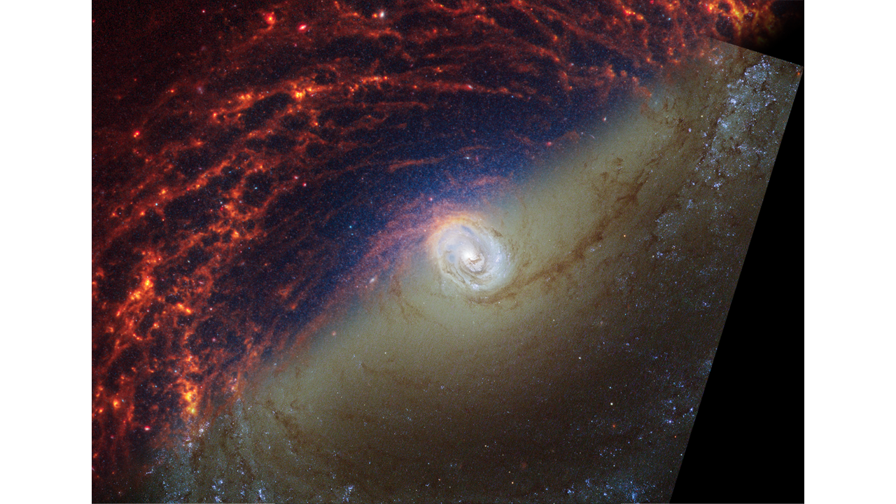 NASA’s Webb Depicts Staggering Structure In 19 Nearby Spiral Galaxies ...