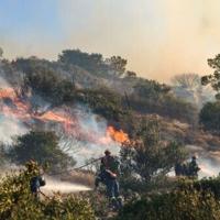 Greece recorded its hottest ever summer last year when 45,000 hectares were torched