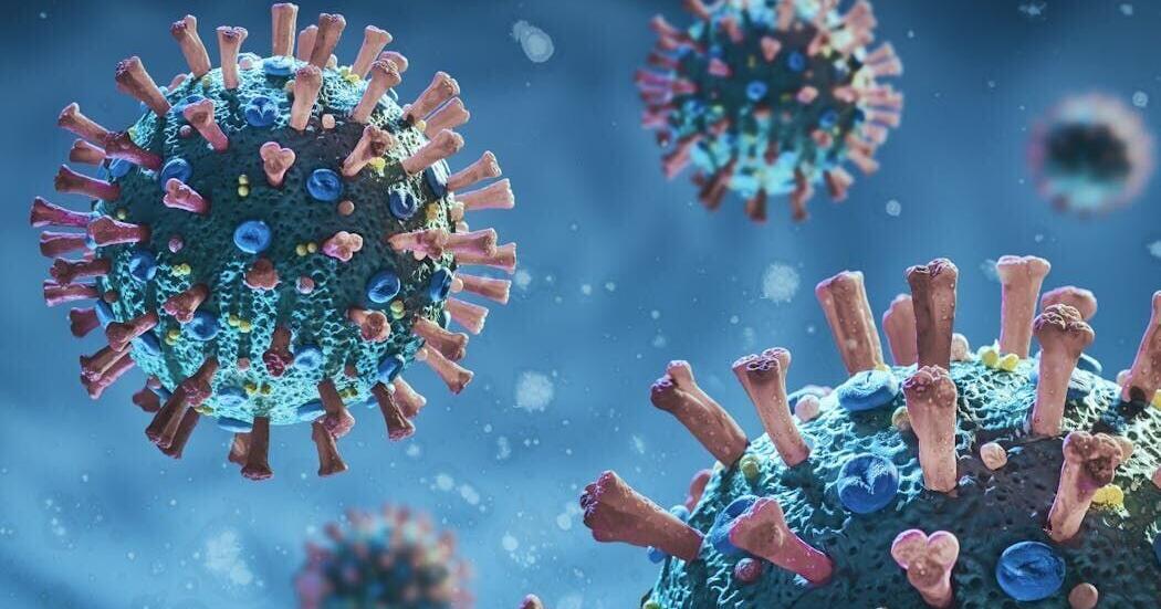 Cicada variant reaches Idaho as health officials track spread