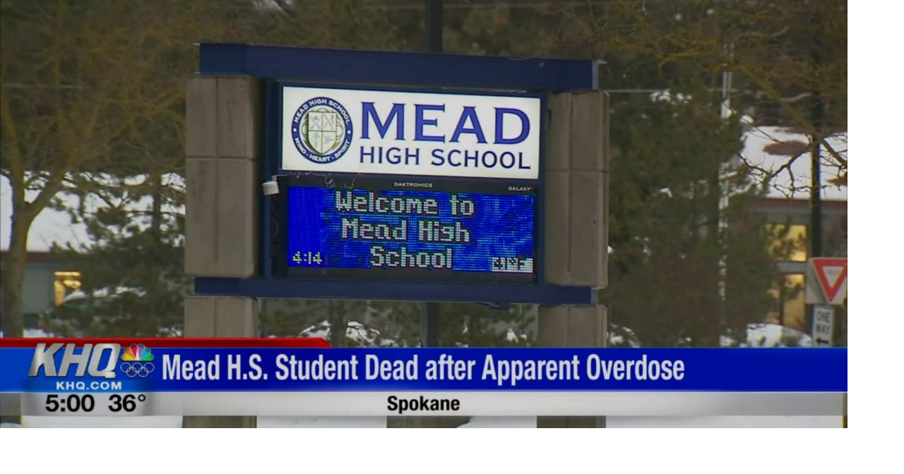 Mead High School student dies after friends say he consumed drugs at