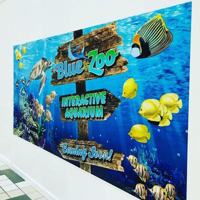 Aquarium Coming To Spokane S Northtown Mall This Summer News Khq Com