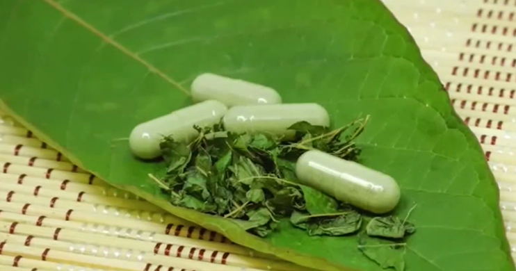 Debate held in Olympia over kratom regulation and youth protection