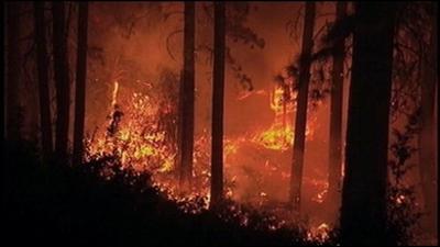 Update 64 Structures Destroyed In Goldendale Monastery