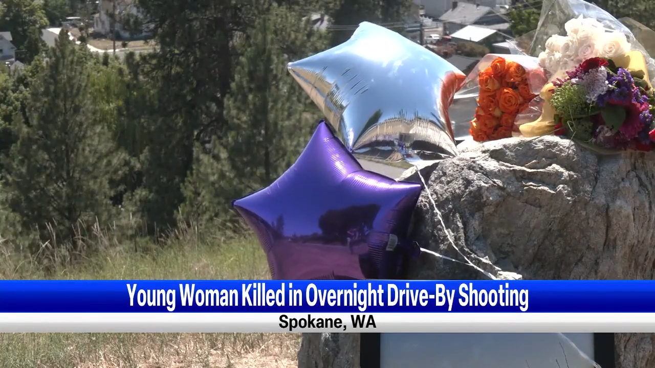 Early Morning Drive-by Shooting Leaves 19-year-old Woman Dead In ...