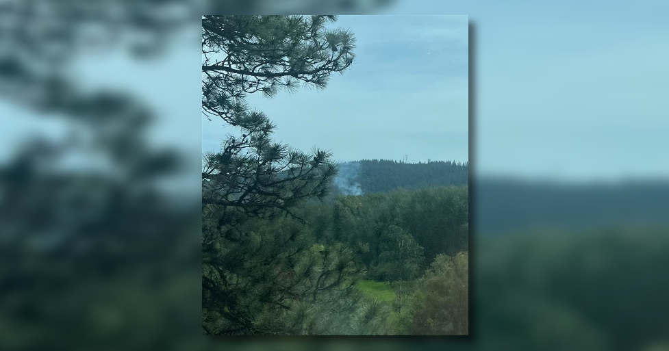 Half-acre brush fire near Saint George's School | Spokane News - Vimarsana News