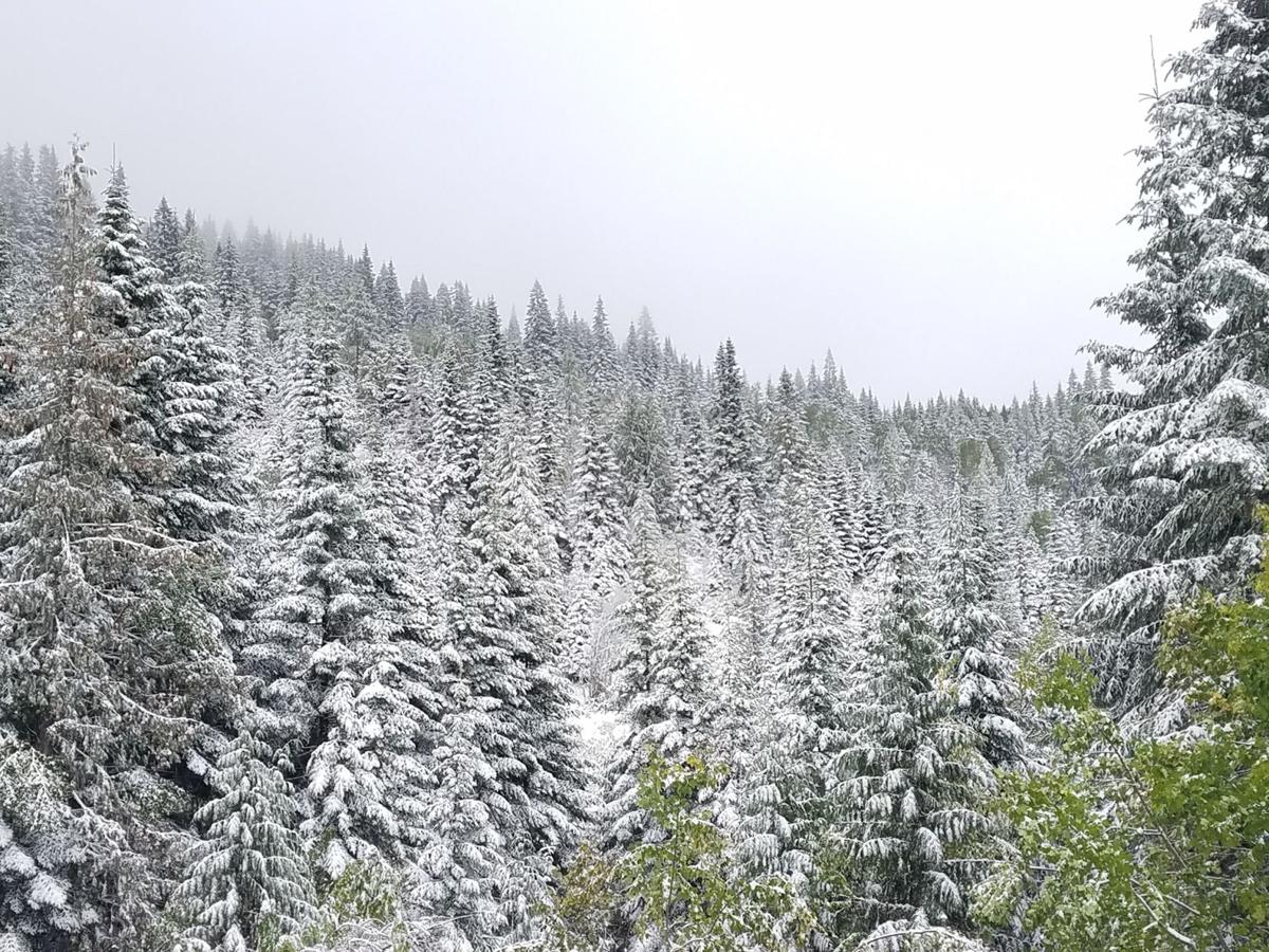 Spokane Among Five Regional Airports Registering Record Low High Temperatures Sunday News Khq Com