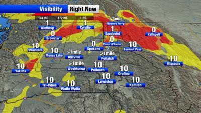 Foggy start to the day before gradually becoming sunny this afternoon ...