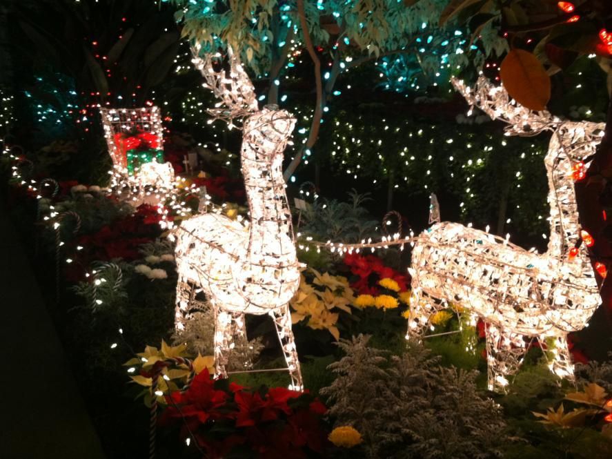 Fun For The Whole Family Holiday Lights At Manito Park S Gaiser Conservatory News Khq Com