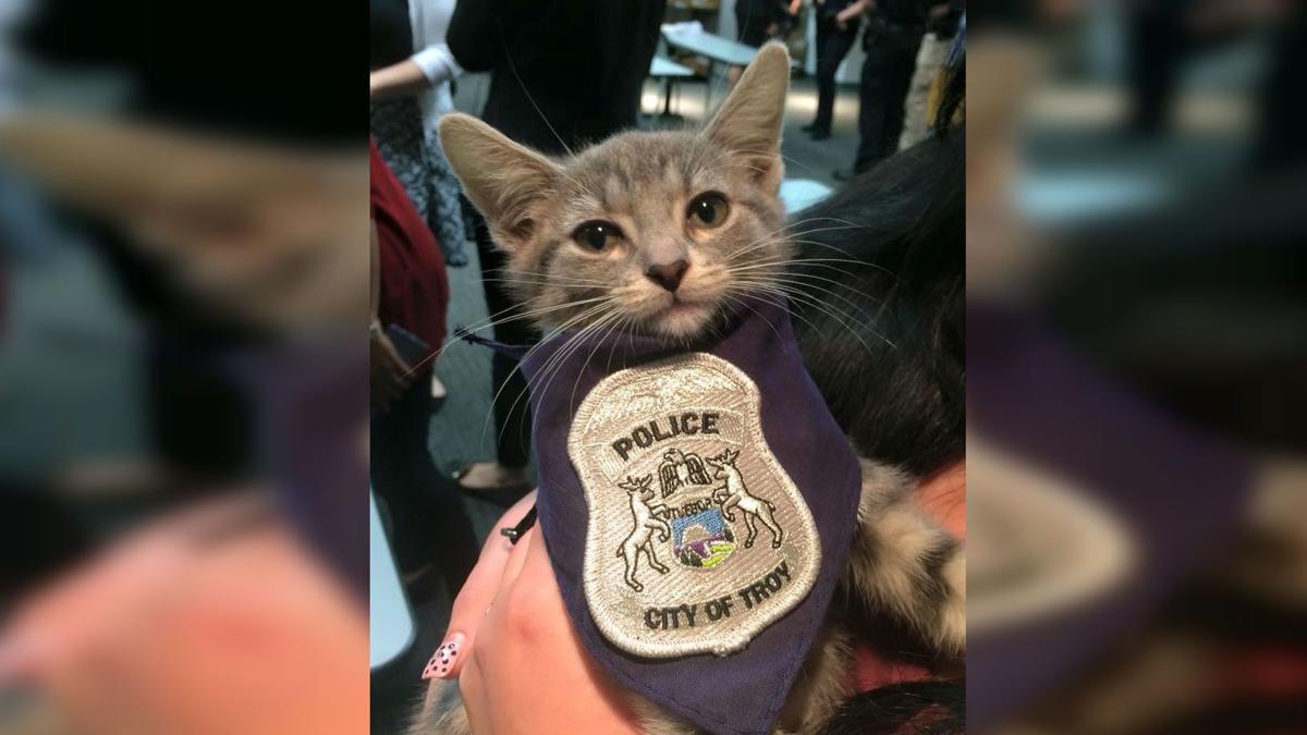 Michigan police department picks Pawfficer to join force, News