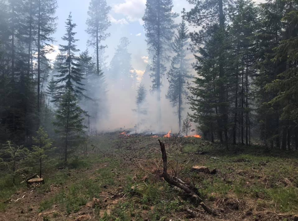 Multiple North Idaho crews extinguish 2 acre wildfire near