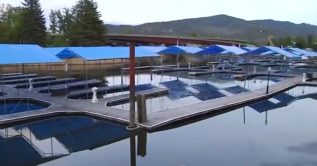 Sandpoint community concerned over low lake levels - Vimarsana News