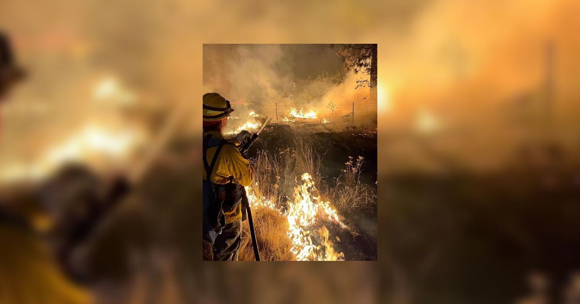 US Forest Service spending $25 million to reduce wildfire risk in Washington - Vimarsana News