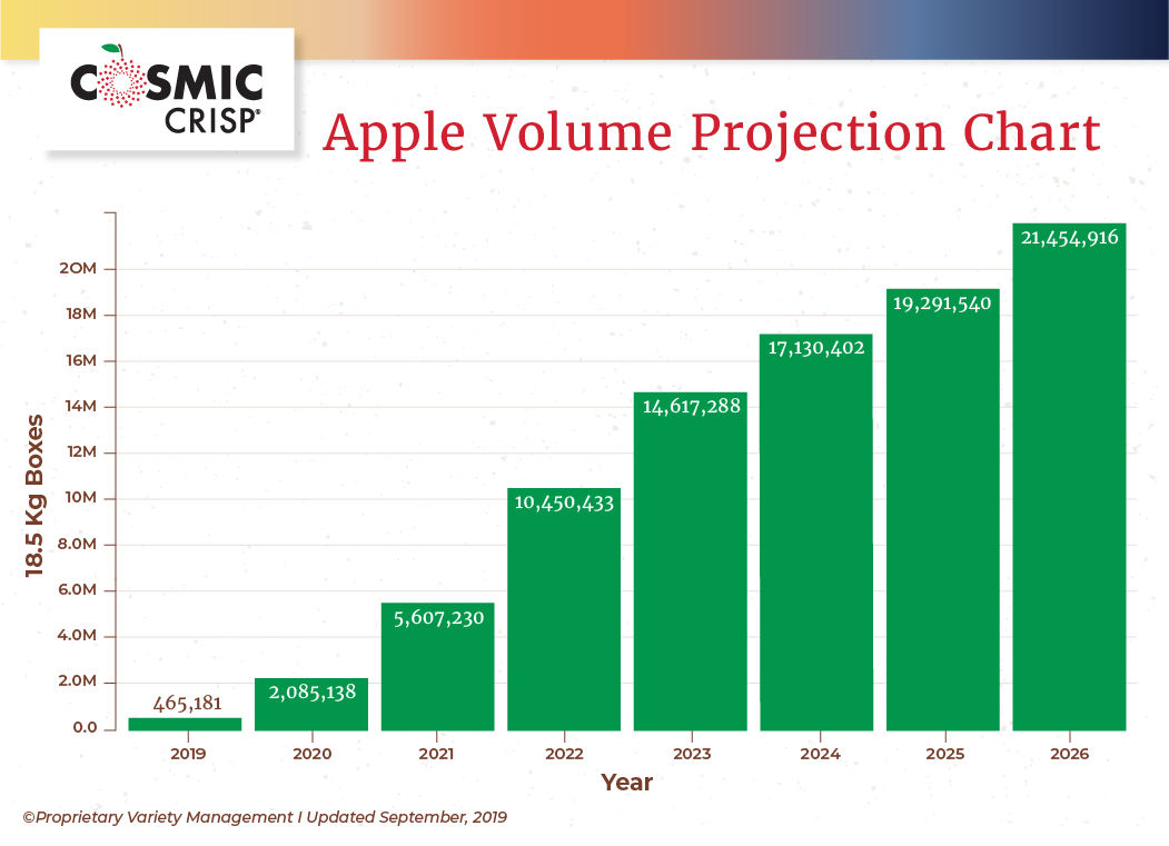 Washingtonbred Cosmic Crisp apple set to debut at retailers next week News