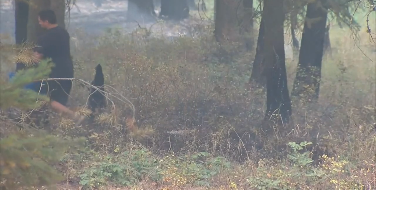 Oregon Road Fire burns 8,282 acres near Elk, forces multiple level 3