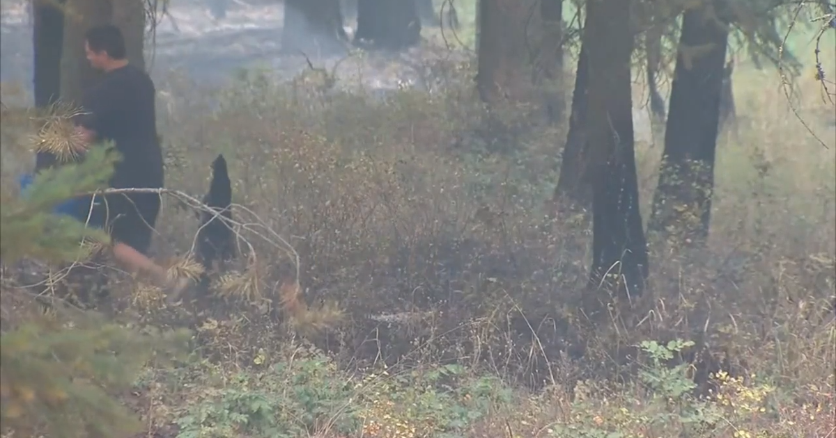 Oregon Road Fire burns 8,282 acres near Elk, forces multiple level 3 ...