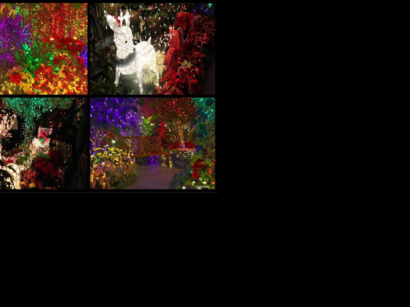 Manito Park Christmas Lights 2021 Enchanted Garden Drive Thru At Manito Park Here Is What To Know Before You Go Holidays Khq Com