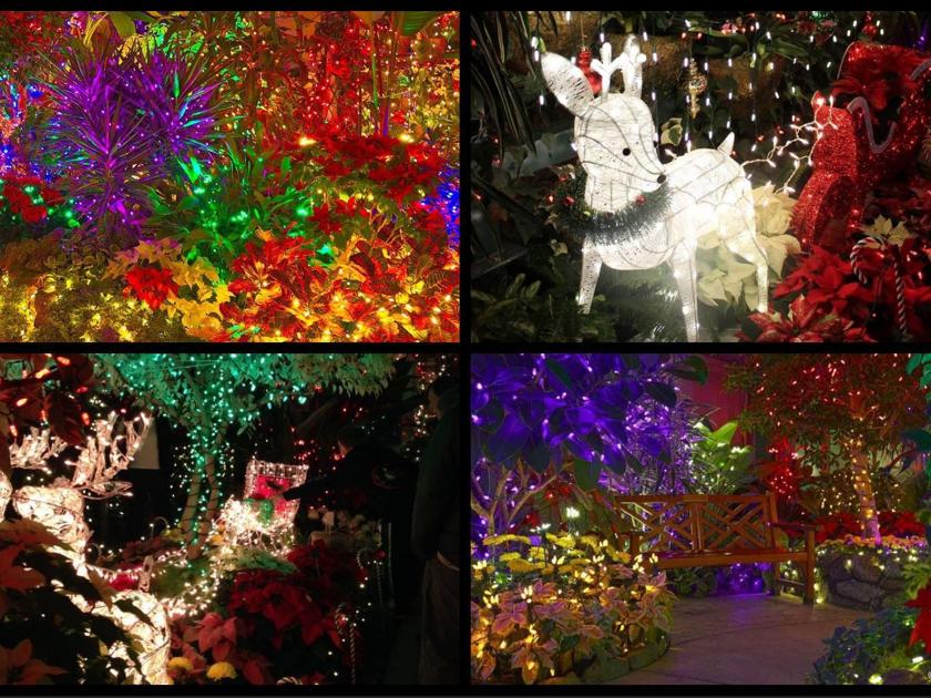 Manito Park Christmas Lights 2021 Enchanted Garden Drive Thru At Manito Park Here Is What To Know Before You Go Holidays Khq Com Manito Park Christmas Lights 2021 Enchanted Garden Drive Thru At Manito Park Here Is What To Know Before You Go Holidays Khq Com