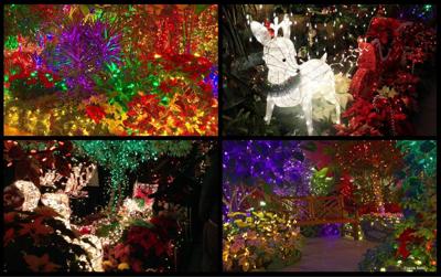 Manito Christmas Lights 2022 Enchanted Garden Drive-Thru At Manito Park: Here Is What To Know Before You  Go | Holidays | Khq.com