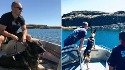 Good Dogs Spokane Police K9 Unit Joins Regional Agencies For Water Training News Khq Com