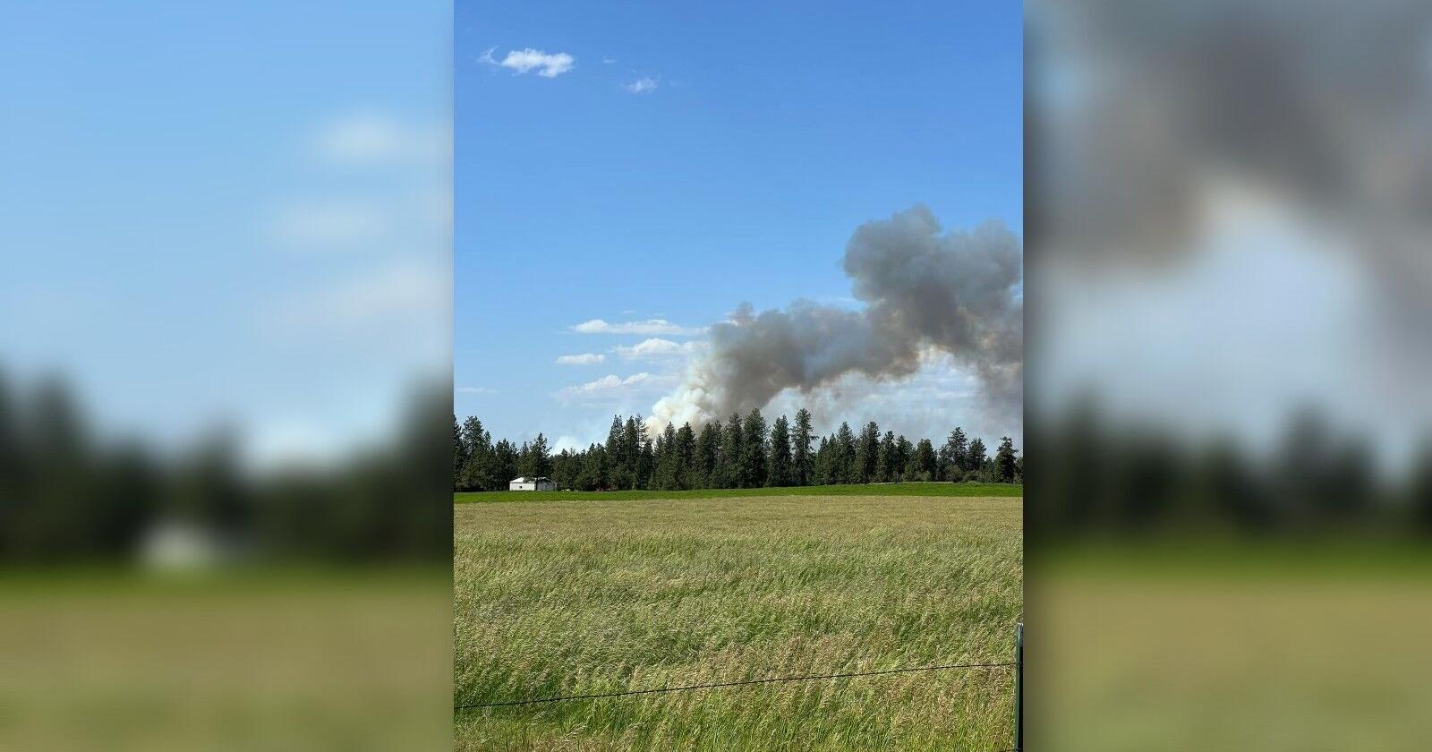 Level 3 (go now!) evacuations in place for 85-acre wildfire near Geiger Heights - Vimarsana News