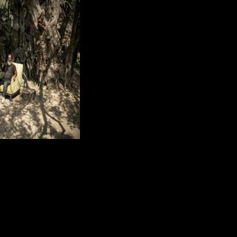 Italian and Japanese experts estimate the tree to be 3,000 to 5,500 years old