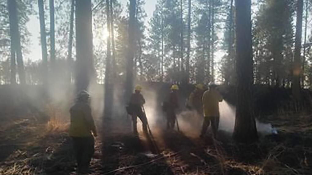 Gray Fire in Medical Lake 93% contained, final overnight shift on ...