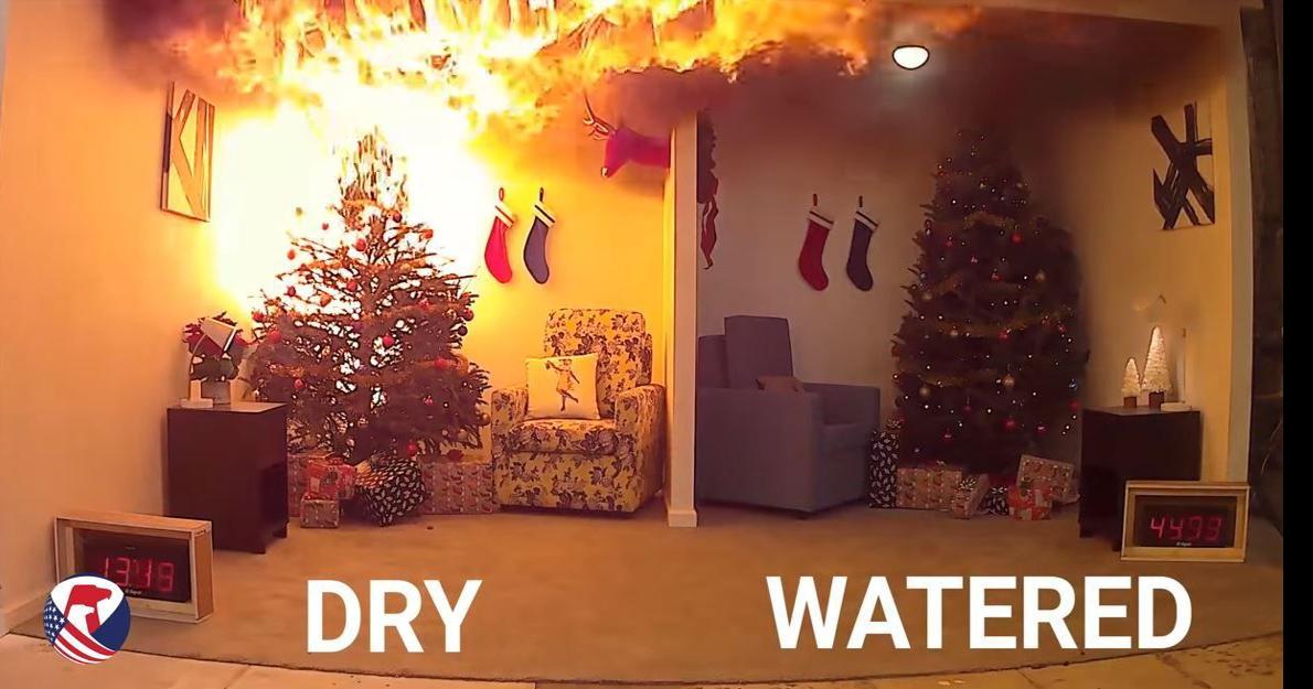 How Fast Does A Dry Christmas Tree Burn at Mary Ahern blog