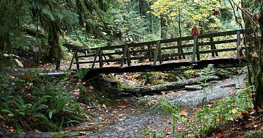 First Day Hikes invite Idahoans to explore state parks