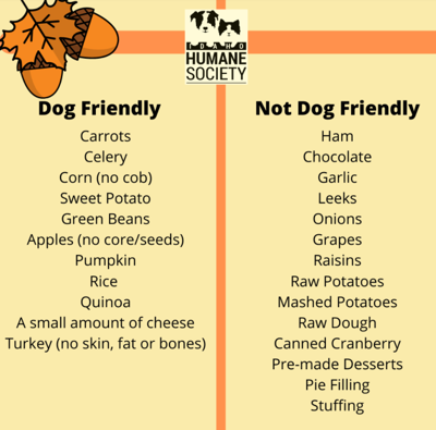 Thanksgiving foods your furry friends can and can't eat