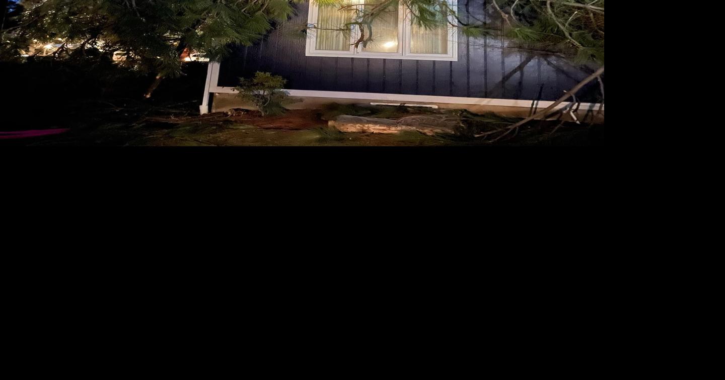 City of Spokane receives 141 reports of downed trees | Spokane News ...
