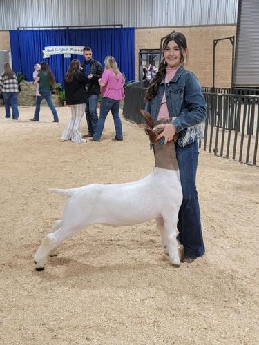GOATS 1 katy mason.jpg