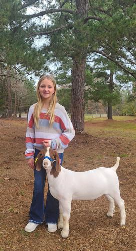 GOATS 2 jayci moore.jpg