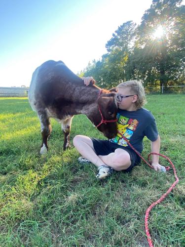HEIFER 1 Maddox Greenberg - 2 - Heifer and peppermint.jpg