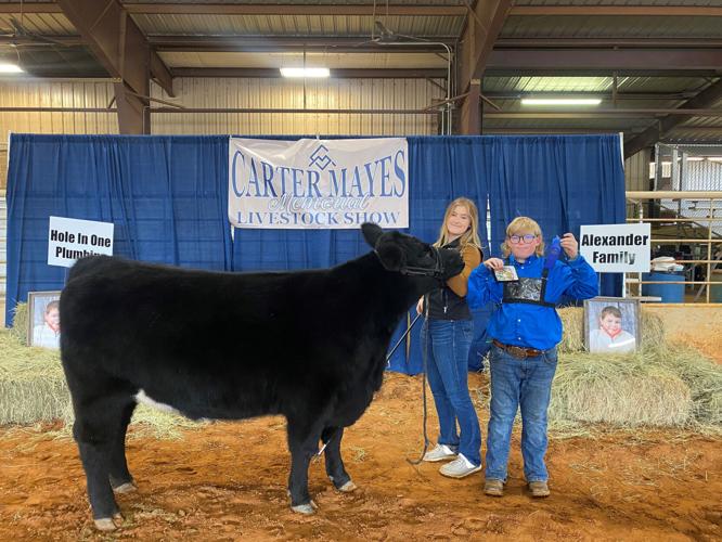 HEIFER 2 Skylar Greenberg (1).jpg