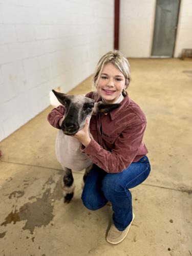 LAMBS 2 emma kate bailey.jpg