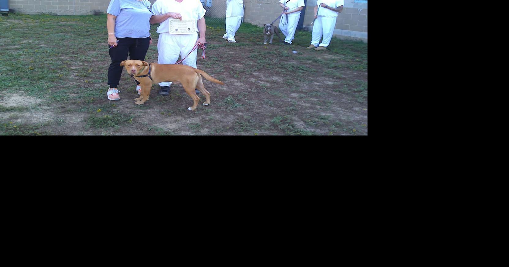 PHOTOS Rusk County inmates help train dogs Lifestyles
