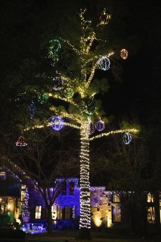 Bright shining tree, night at South Coast Plaza – Orange County Register