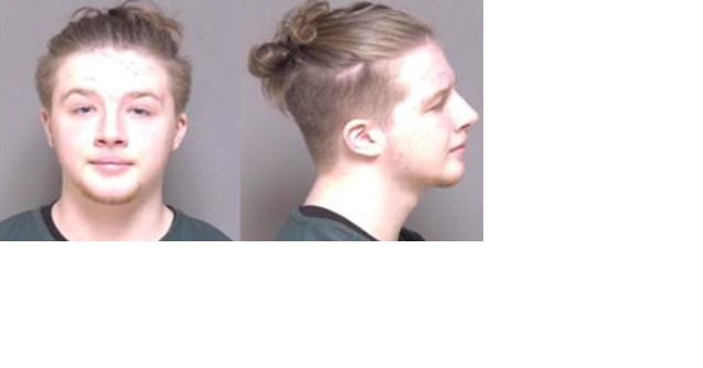 Machete attack sends Rochester teen to prison - Vimarsana News
