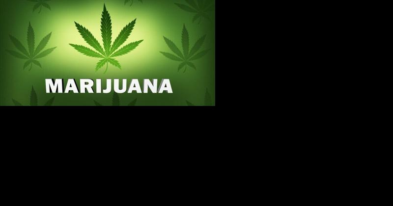 Charles City woman facing charges over 11 marijuana plants - Vimarsana News