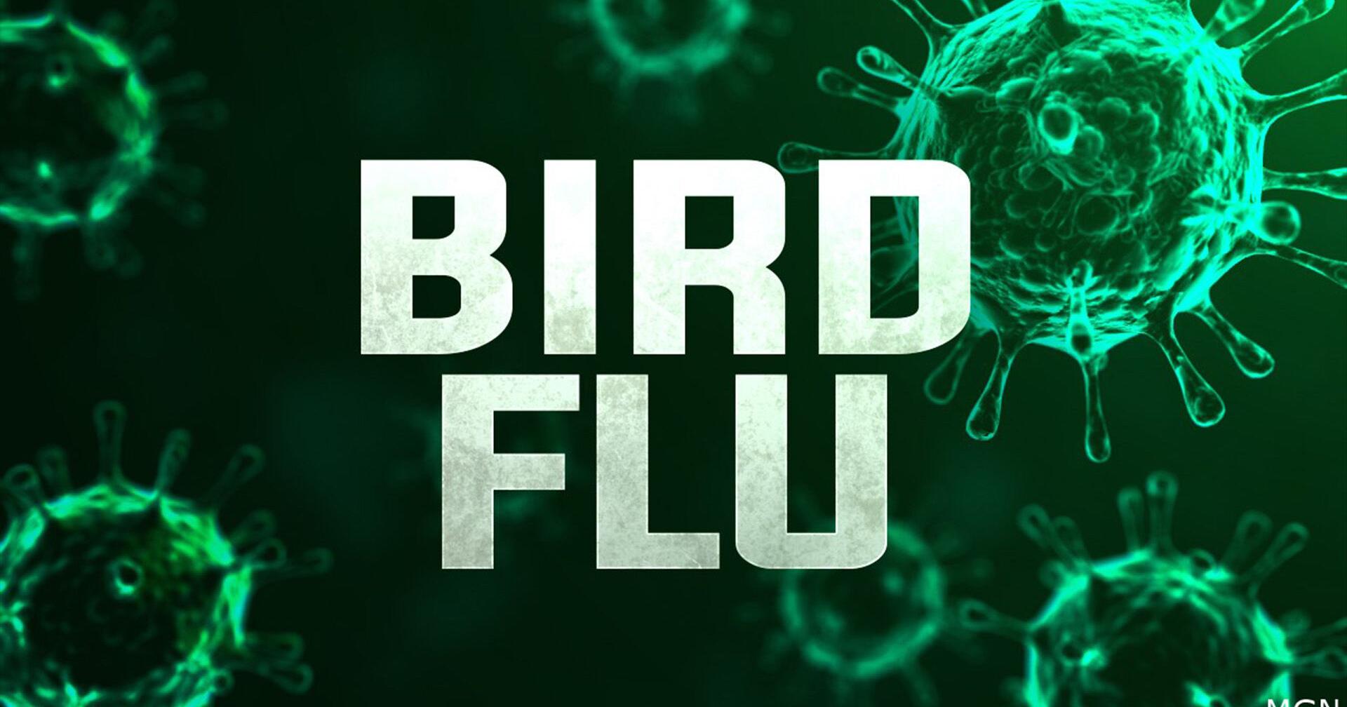 Bird flu detected in Cherokee County - Vimarsana News
