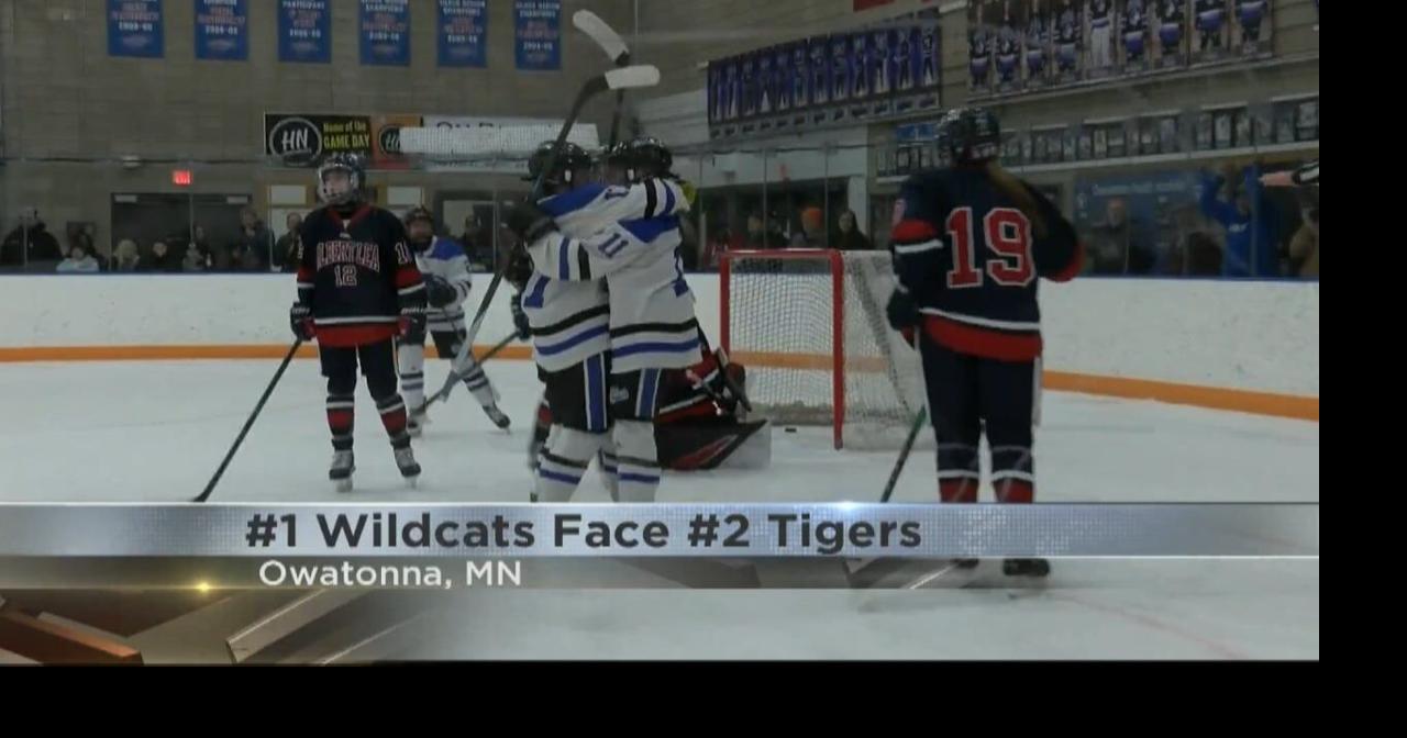 Dodge County Wildcats girls' hockey team punches its ticket to the State Tournament