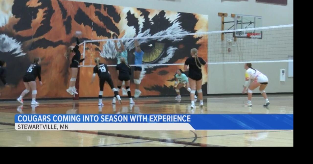 Mabel-Canton Cougars volleyball team coming into season with all ...