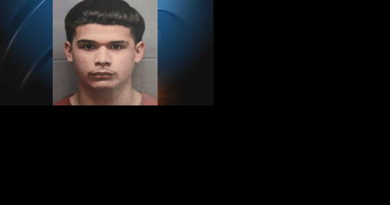 Teen pleads guilty in fatal Austin shooting - Vimarsana News