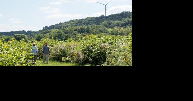 Northeast Iowa college is ranked among nation's best for environmental sustainability - Vimarsana News