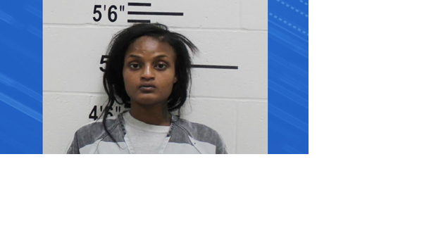 Lengthy investigation into prostitution leads to two arrests in Winneshiek County - Vimarsana News