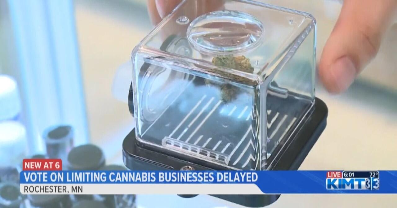 Rochester City Council delays vote to limit number of cannabis businesses within city limits - Vimarsana News
