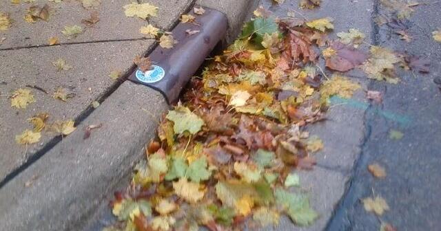 Austin urges residents to rake and dispose of leaves to protect local ...