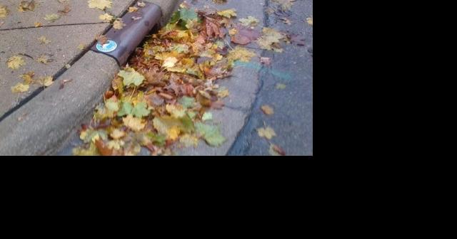 Austin urges residents to rake and dispose of leaves to protect local waterways and prevent street flooding - Vimarsana News